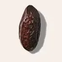 Haba tonka