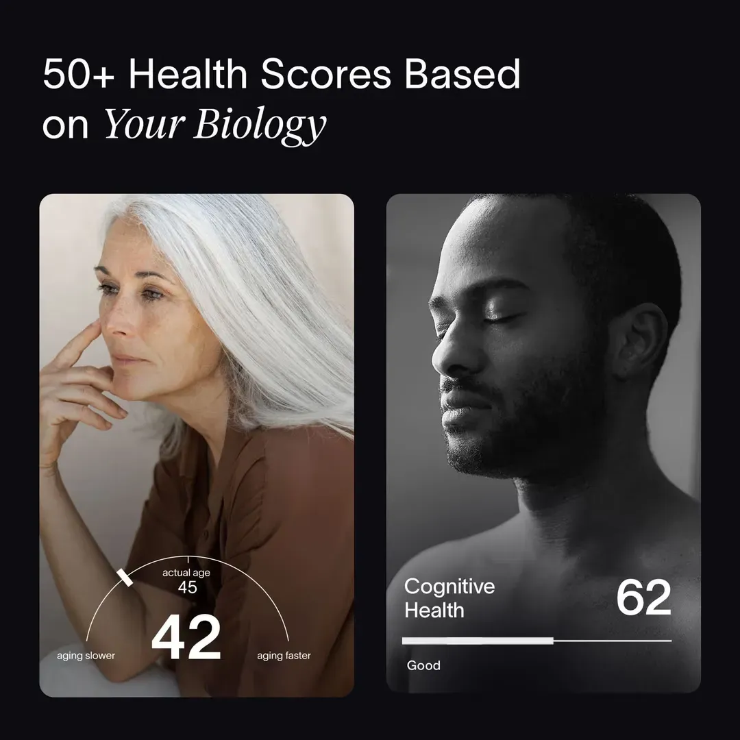 Full Body Intelligence™ Test